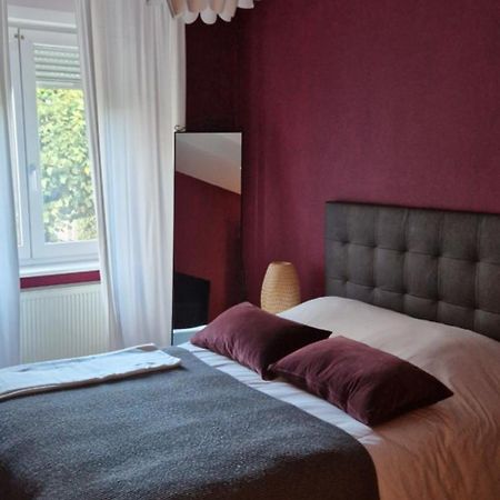 Cosy Appartement Complet Centre-Ville Montbéliard Exterior foto